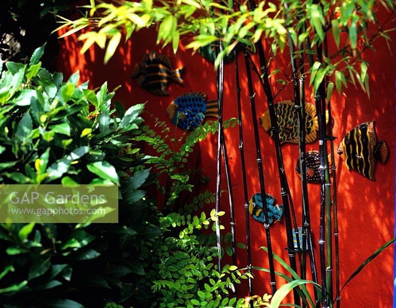 Red wall with decorative fish and Black  Bamboo