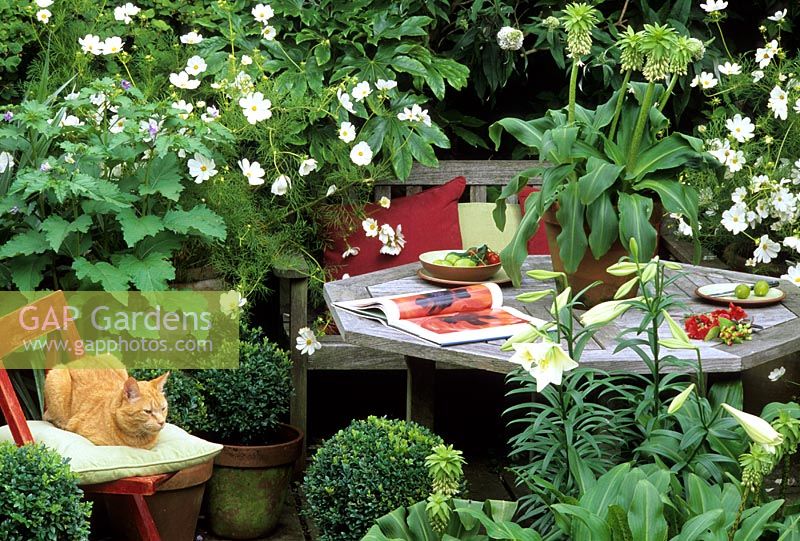 Wooden furniture with green and white planting