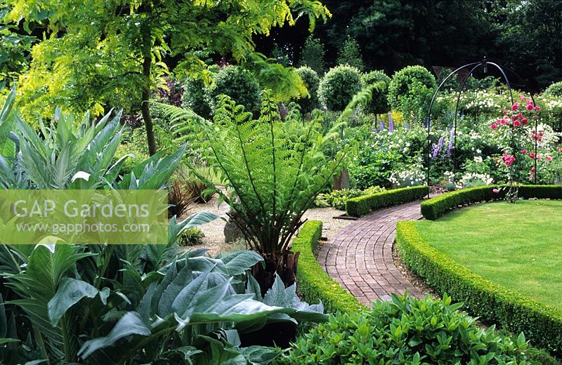 Cardoon and Dicksonia antarctica with a  curved brick path edged with boxwood hedges. 