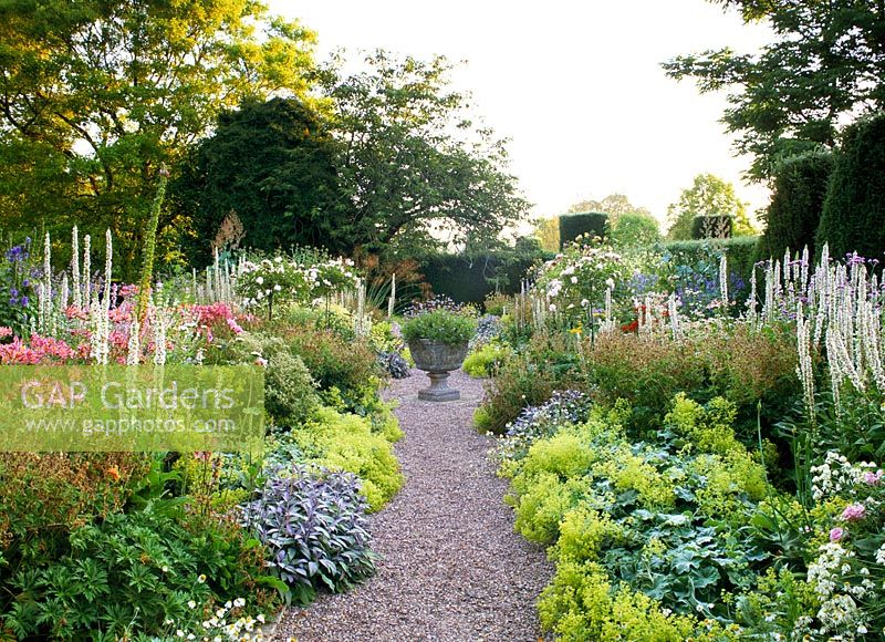 View along double borders lined with Alchemilla Mollis, Salvia, Verbascum chaixii 'Album' and Alstroemeria leading to an Ornate pot of Felicia amelloides at Cothay Manor, Somerset