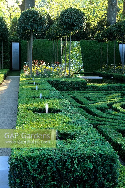 Buxus - Box Parterre with fountains and avenue of lollipop clipped bays
