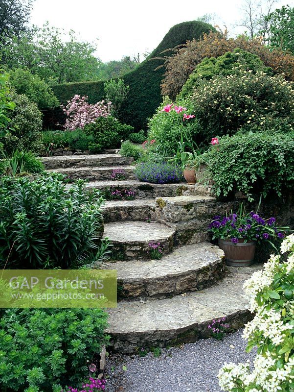 Stone steps leading to terraced garden at  ChiffChaffs in Dorset