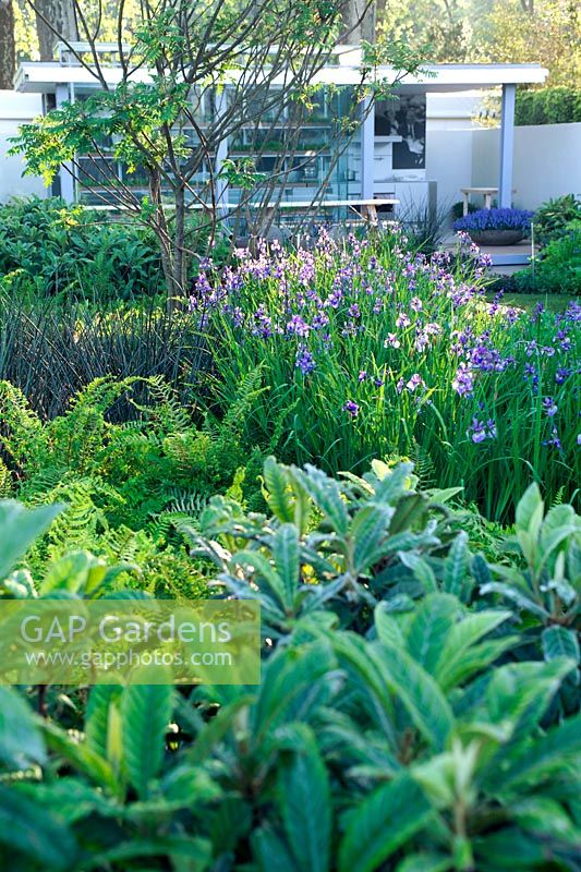 Chelsea Show garden with pavillion and lush green planting 