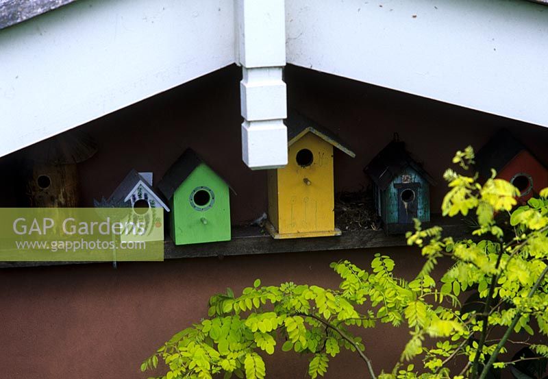Decorative bird boxes