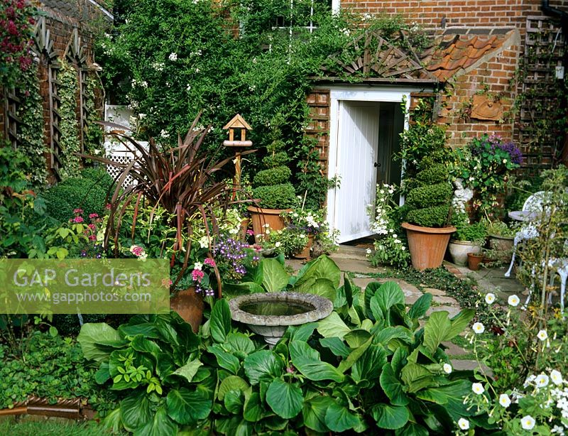 Small informal garden with containers,bird bath and climbers