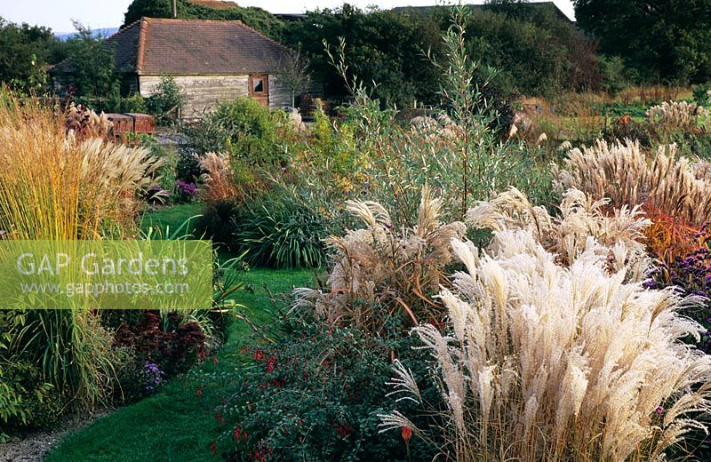 Autunm borders with ornamental grasses and perennials at Marchants, Sussex  
