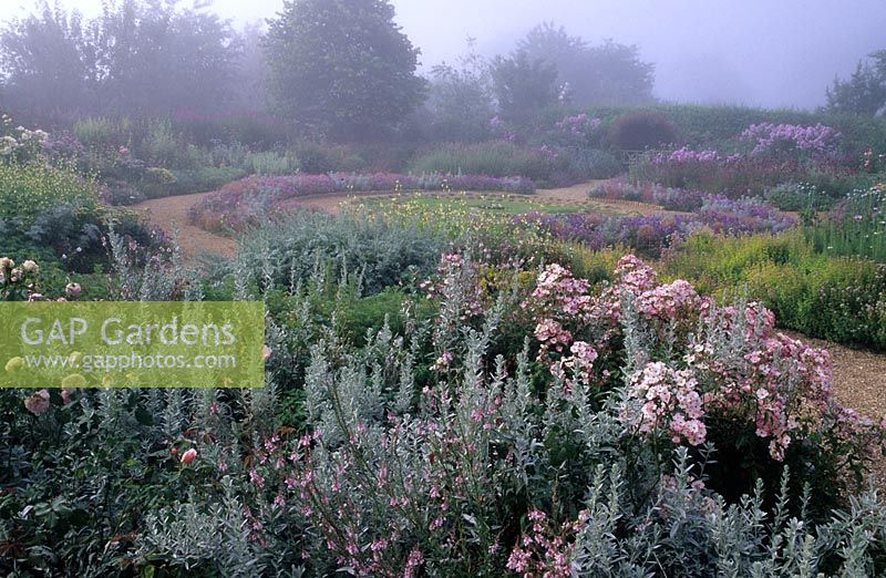 Sticky Wicket, Dorset. The Round garden with Artemesia 'Lambrook Silver', Rosa 'Ballerina' and Chamomile