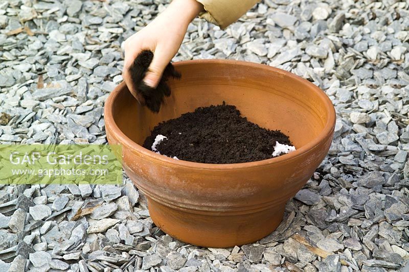 Planting pot sequence - filling pot with polystyrene and then compost