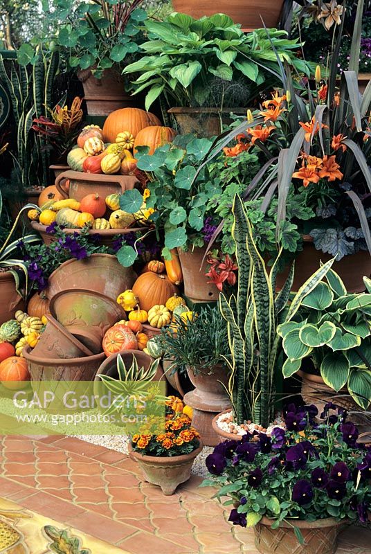 Terracotta flower pots and gourds in display from Whichford Pottery at Chelsea FS 1998