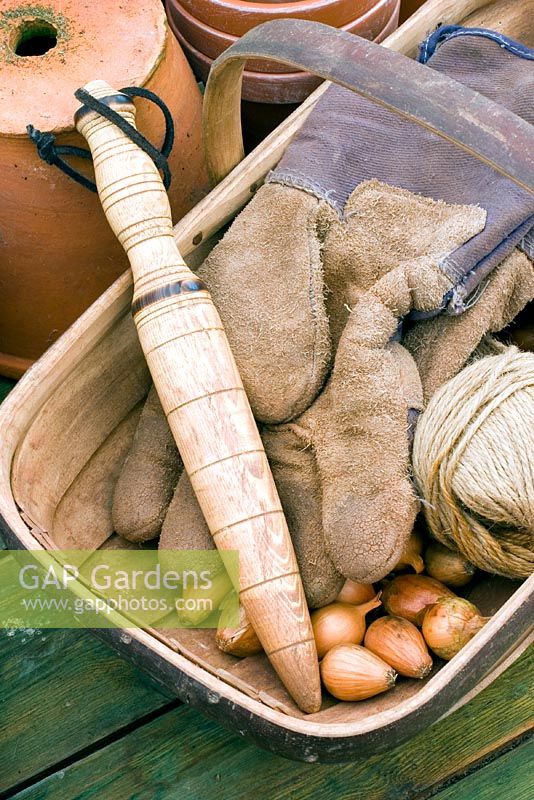 Garden dibber in trug with gloves, string and onion sets  