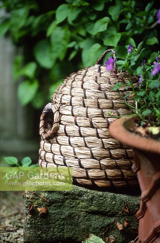 Skep for bee keeping in a garden