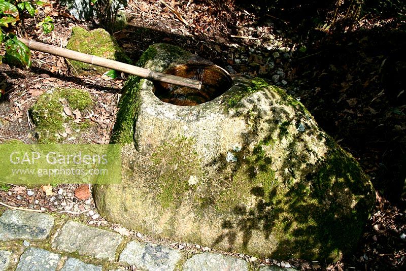 Tsukubai - Crouching bowl at entrance to Japanese garden at Pine Lodge Gardens Near St. Austell