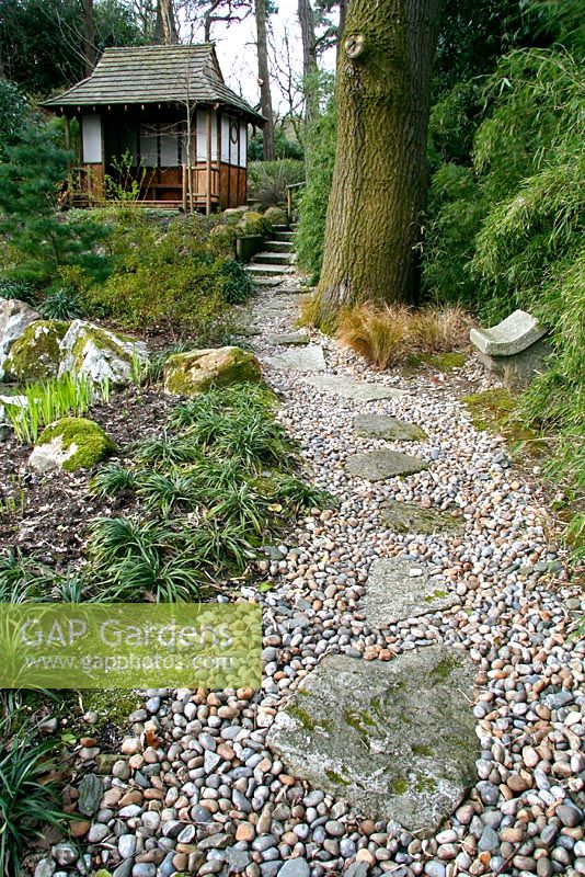 Stone path with stepping stones in japanese style garden at Pine Lodge Gardens Near St. Austell.