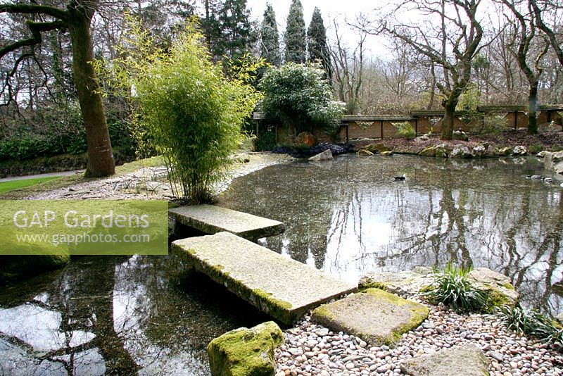 Stone bridge in Japanese Garden at Pine Lodge Gardens Near St. Austell.