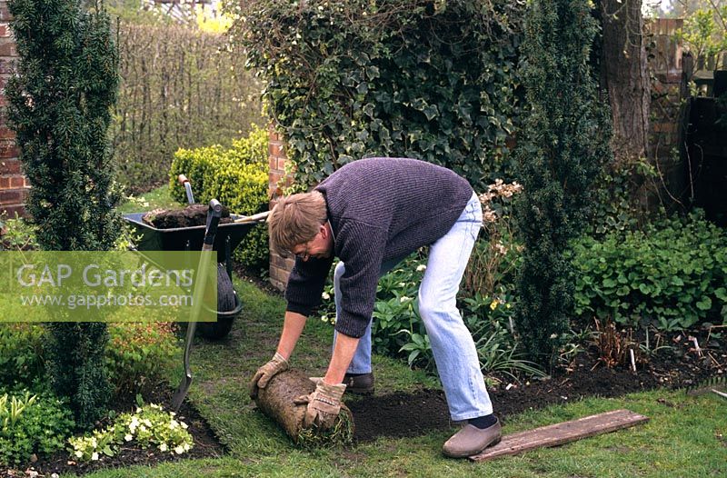 Man rolling out lawn turf to repair worn patch at The Anchorage, Kent 
