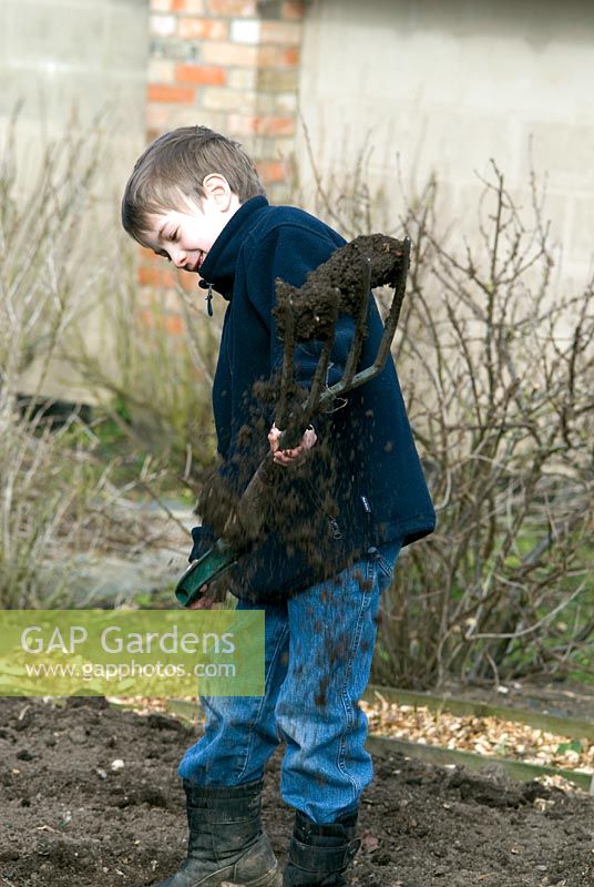 Young boy using a fork to break up the soil in a vegetable garden in February 