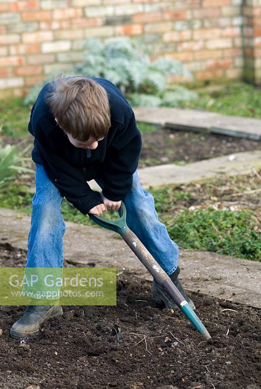 Young boy using a fork to break up the soil in a vegetable garden in February