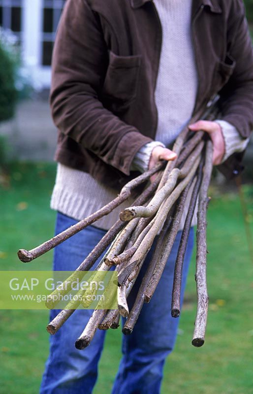 Person carrying bundle of hazel rods