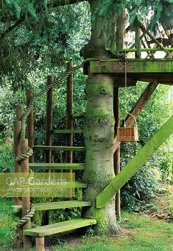 Tree house. Meon Orchard, Hampshire