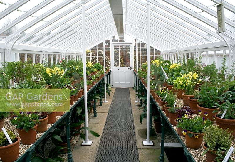 Display of herbs, vegetables, bulbs and perennials in traditional victorian glasshouse. Controlled artificial light used to promote early growth  