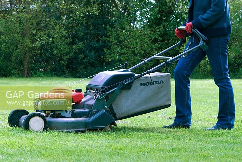 Woman mowing the lawn with a petrol driven rotary mower