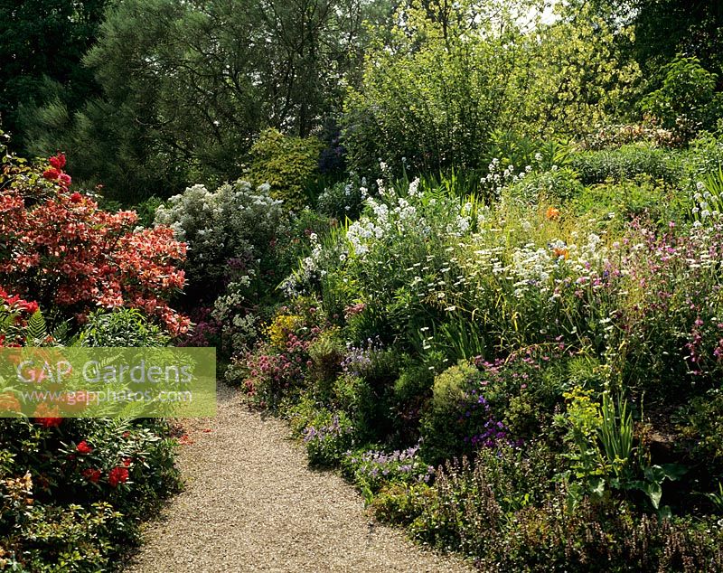 Mixed borders with gravel path. Cobblers, Sussex.