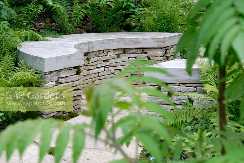 A curved stone seat surrounded by shady woodland plants 