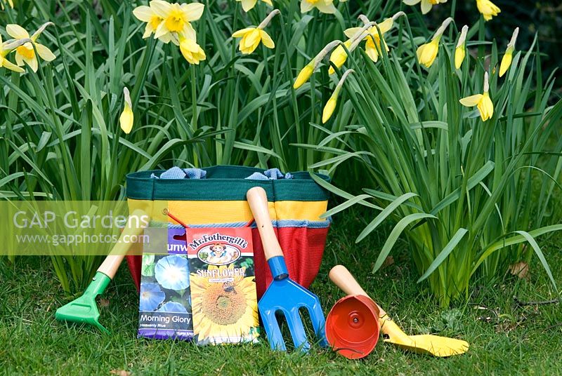 Seed packet of Giant Single Sunflower with childrens garden tools 