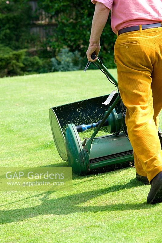 Man mowing the lawn with a petrol cylinder mower