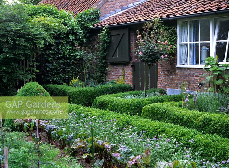 Vegetable garden with Buxus - Box hedging 