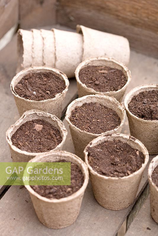 Biodegradable pots with compost