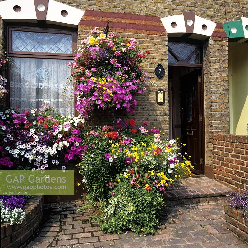 Urban front garden with hanging baskets, pots and window boxes.