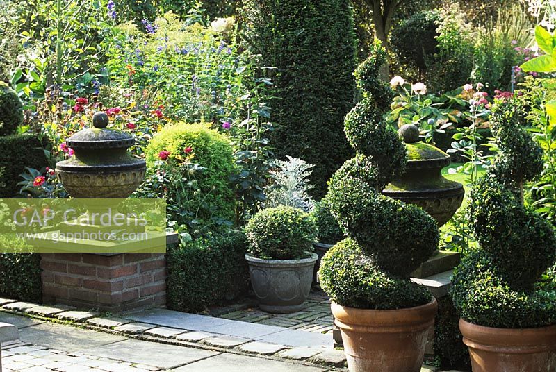 Spiral topiary by steps