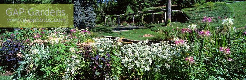 Border with Cleome, Euphorbia marginata and Arbour in Pond Garden - Chanticleer Garden, Wayne, Pennsylvania, USA.