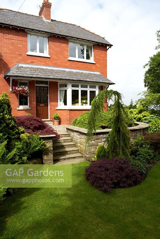 Front garden with conifers at Cypress House in Dalton