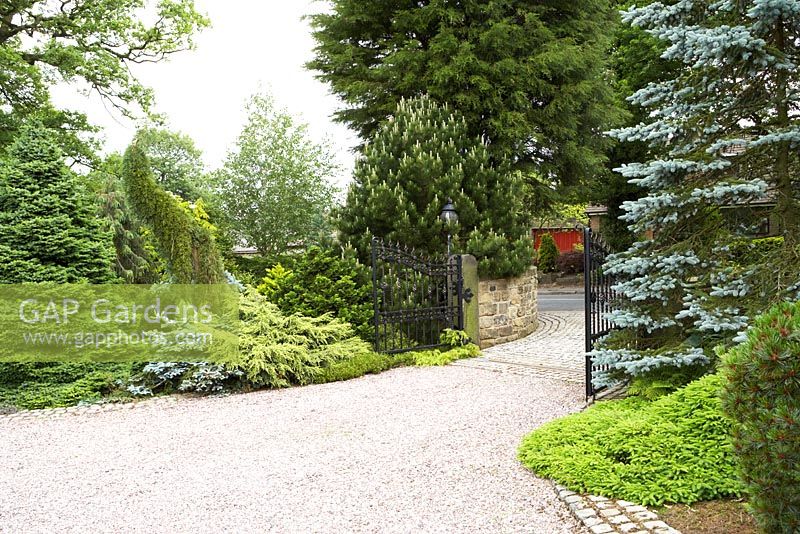Border with Conifers in front garden at Cypress House in Dalton