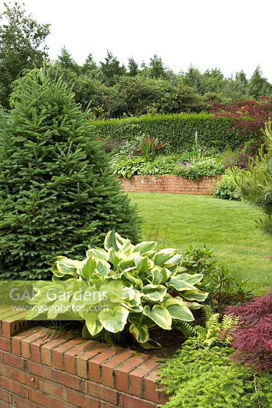 Suburban garden with Conifers at Cypress House in Dalton