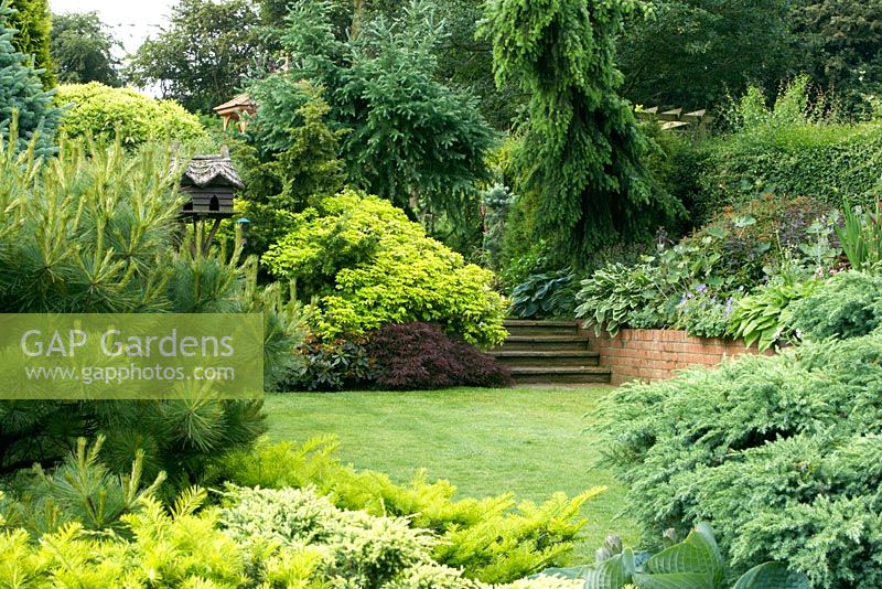 Suburban garden with lawn, steps and conifer borders at Cypress House in Dalton