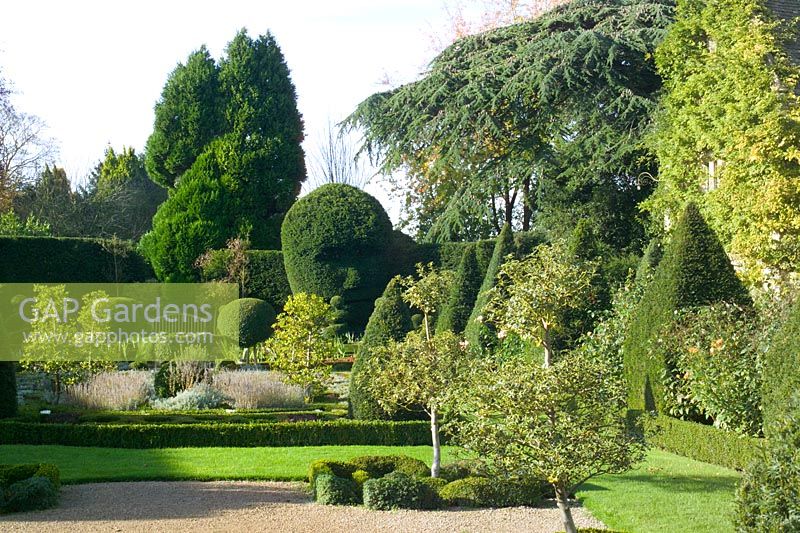 Clipped Yew hedging and topiary at The Abbey House, Malmesbury, Wiltshire