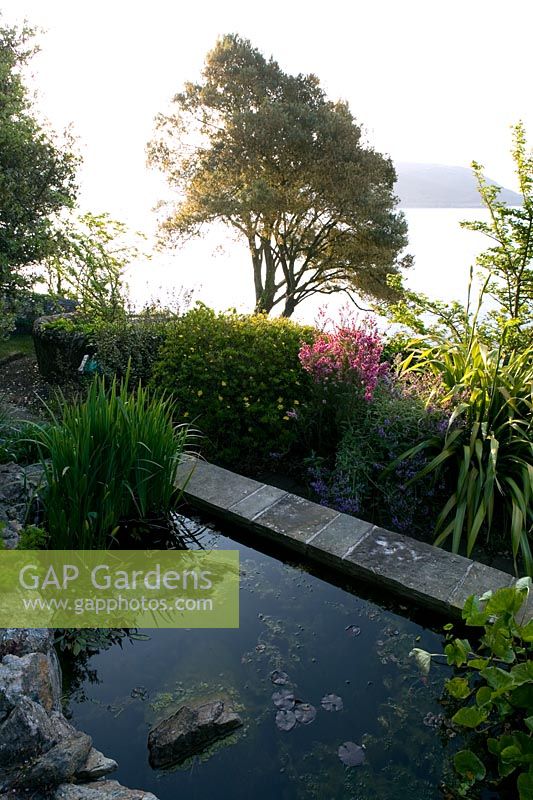 Summer garden by the sea with pond and view across the estuary - The Moult, Salcombe, Devon

