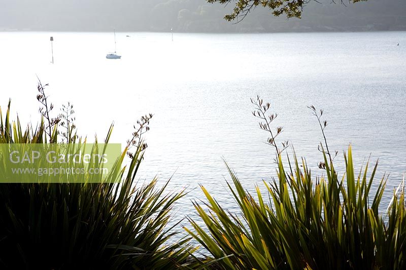 Phormiums and view over the Salcombe estuary - The Moult, Salcombe, Devon