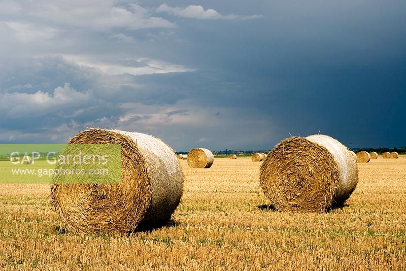 Straw bales against stormy sky in the English countryside