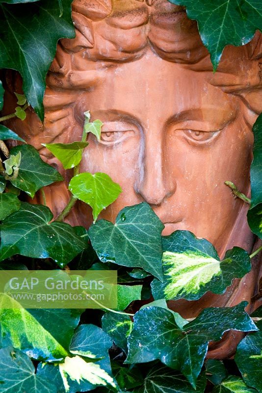 Terracotta mask plant holder in amoungst ivy