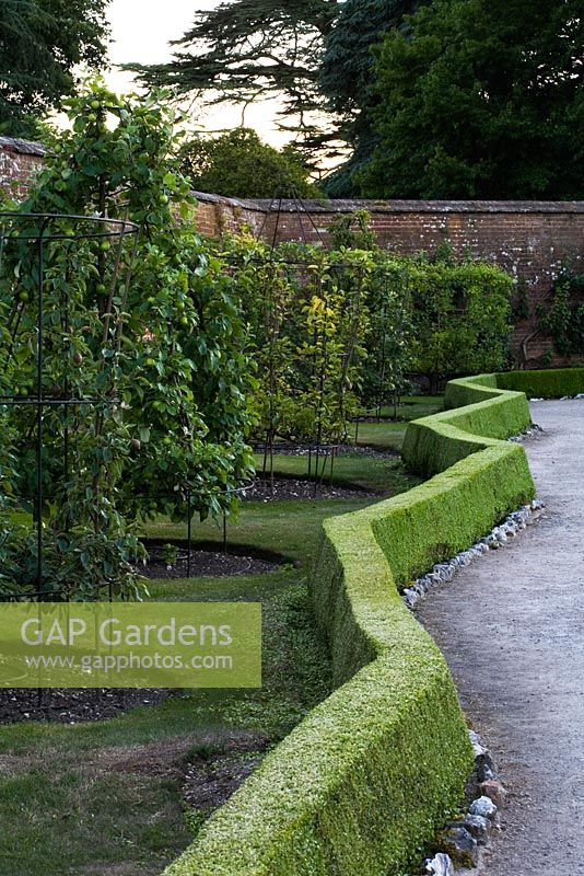 Freshly clipped box edging in walled fruit garden at West Dean 