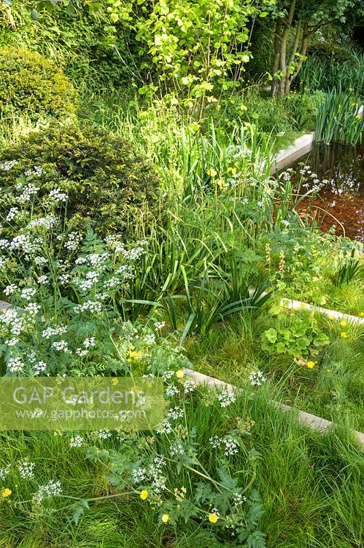 The Savills and David Harber Garden. Designed by Andrew Duff, Sponsored by David Harber Savills, RHS Chelsea Flower Show, 2019.

