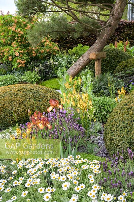 The Morgan Stanley Garden, designed by Chris Beardshaw, sponsored by Morgan Stanley, RHS Chelsea Flower Show, 2019.
