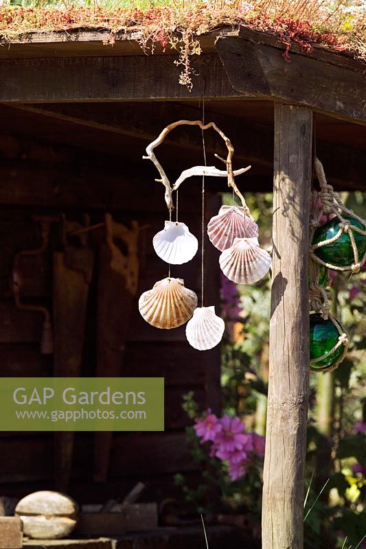 Shell mobile or wind chime