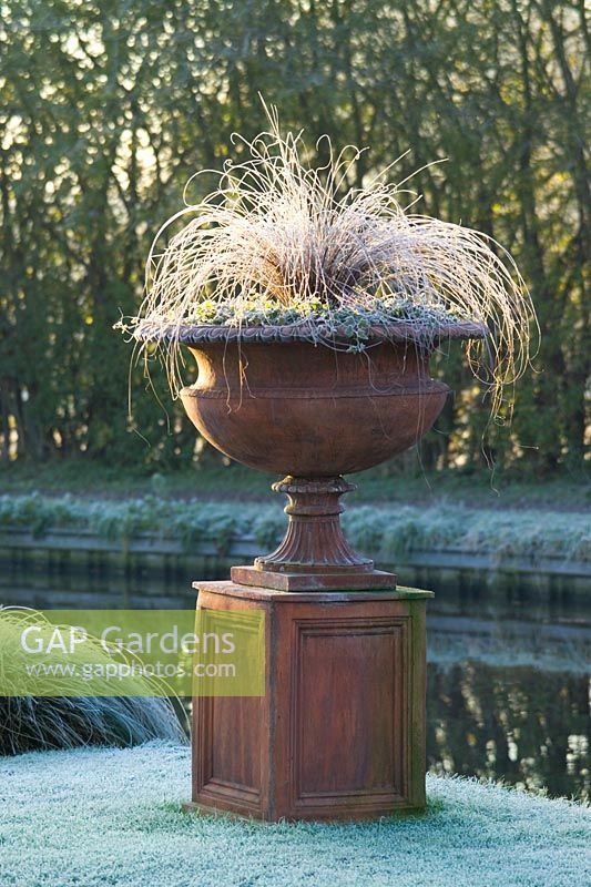 Terracotta urn on plinth with Carex comans 'Bronze form'