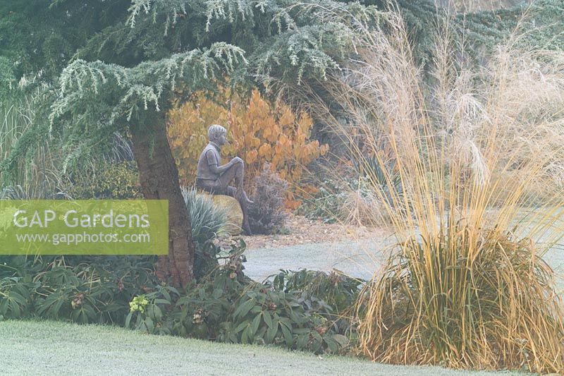 View towards 'Boy on a Rock' bronze statue by Jane Hogben. Molinia caerulea subsp. arundinacea 'Transparent and Cedrus deodara in the foreground.