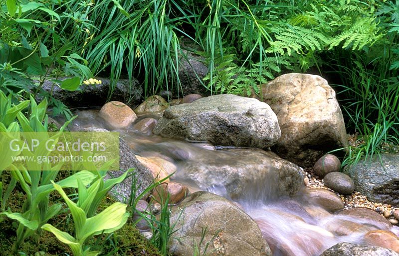 Small garden stream flowing over rocks and pebbles through lush, green foliage plants.